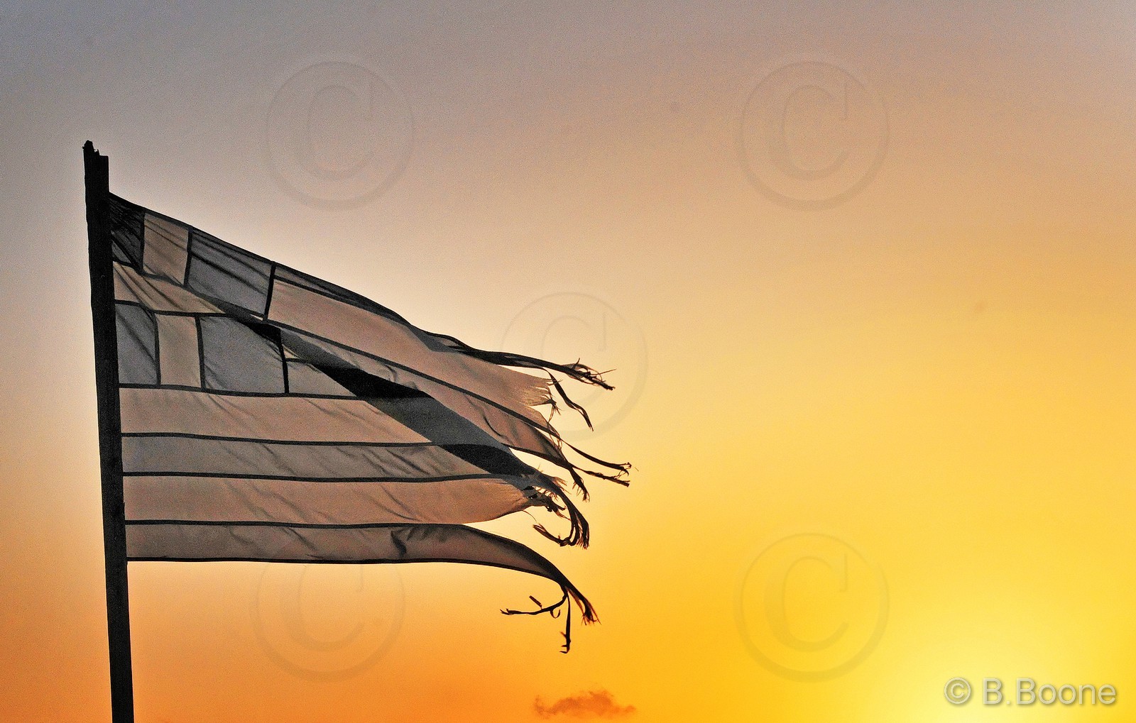 130204-753 © B.Boone