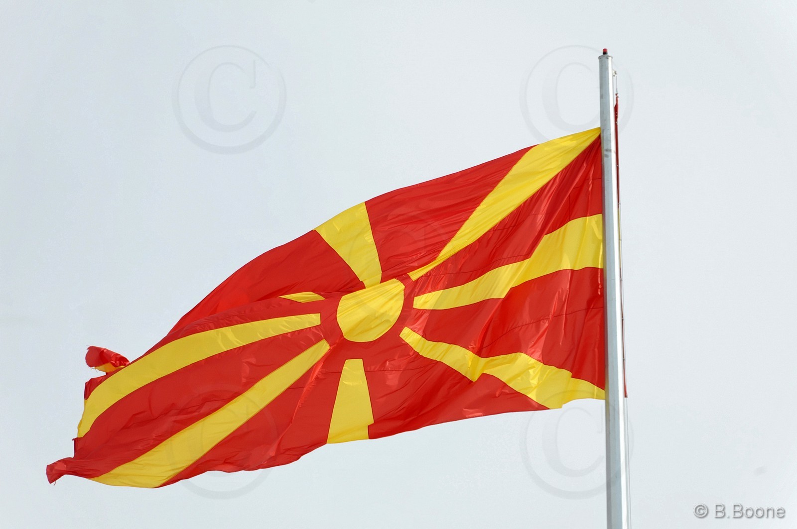 110227-1301©B.Boone