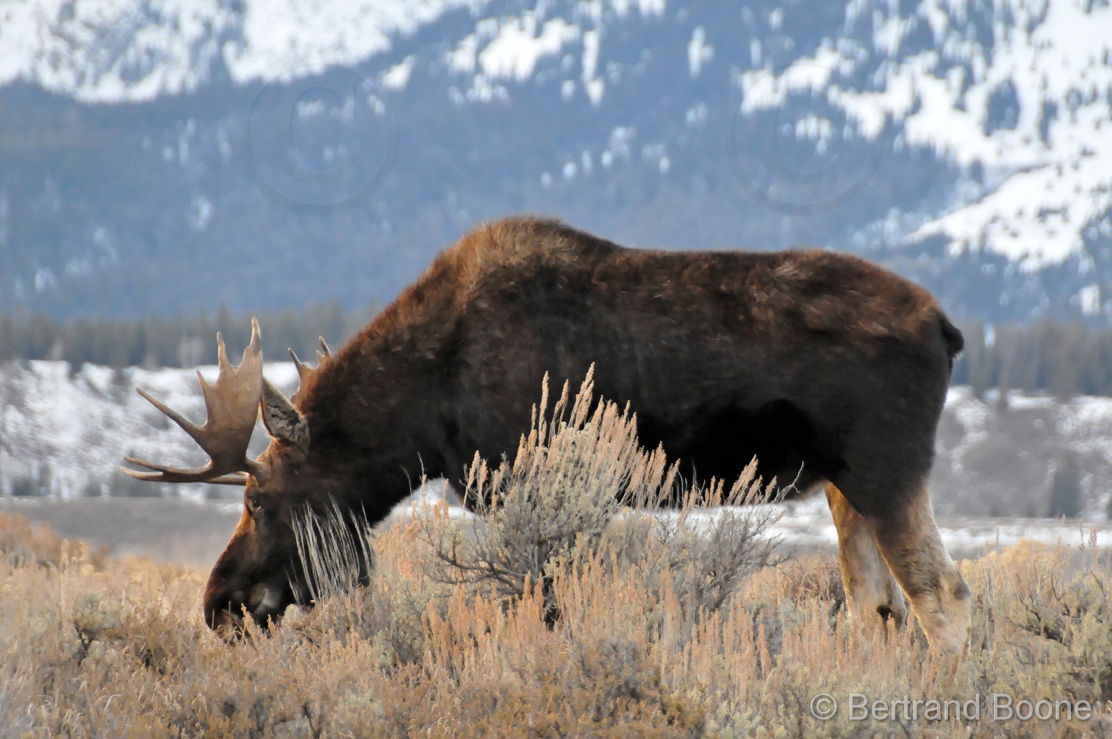 131129-172© B.Boone