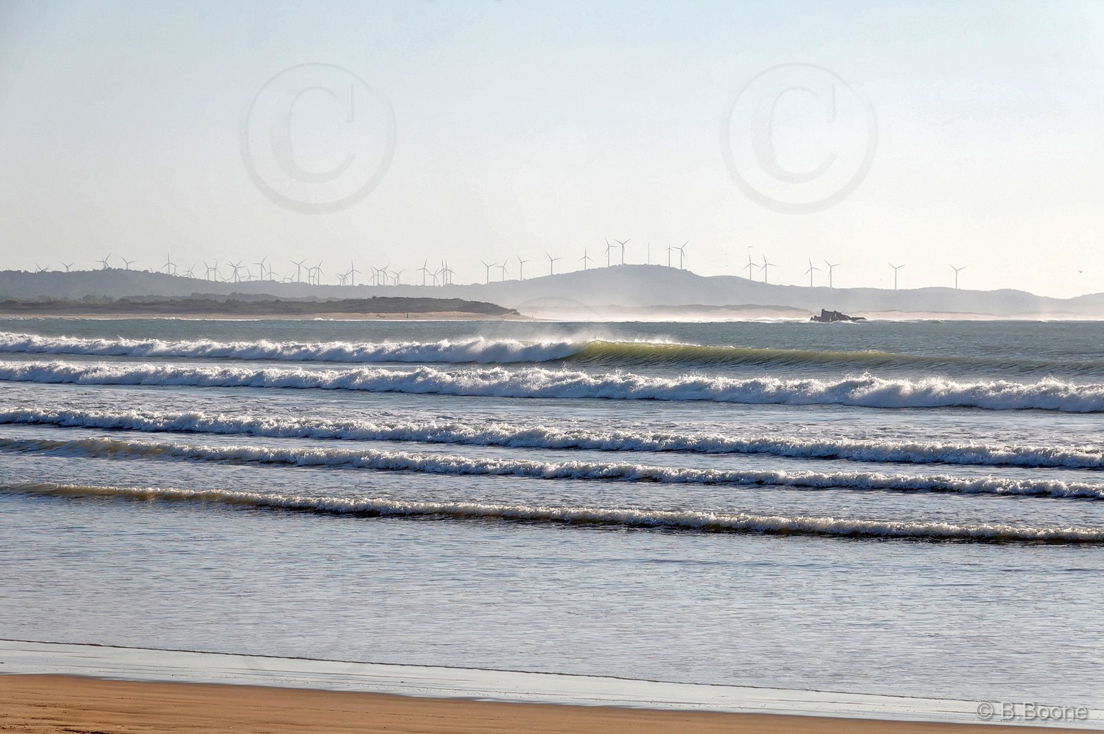 110207-0020©B.Boone